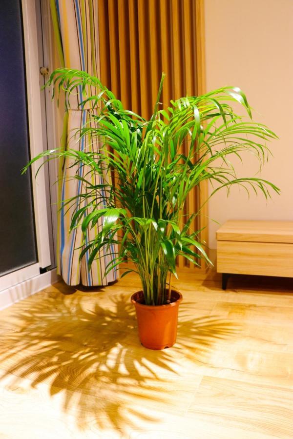 Pingtung Zen Home מראה חיצוני תמונה